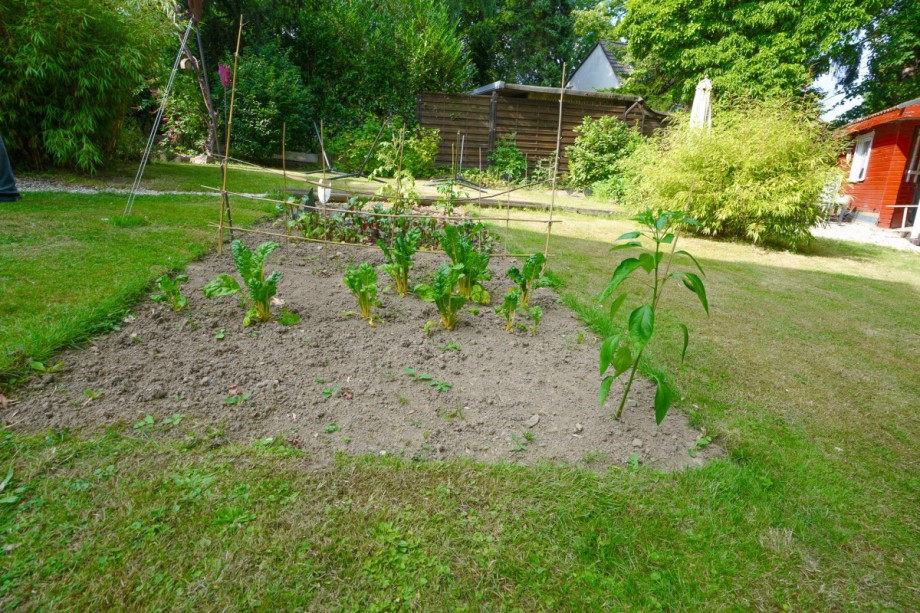 Gartenimpression Zweifamilienhaus Solingen