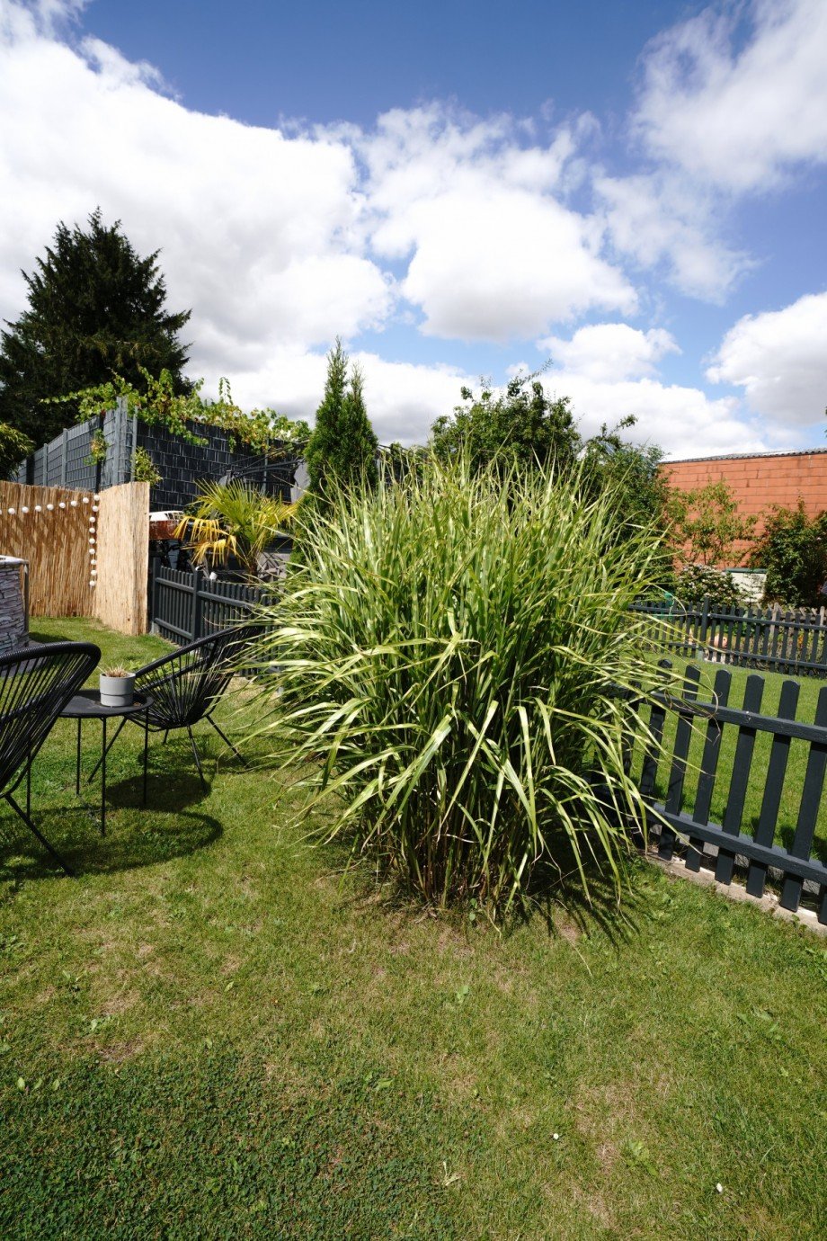 Gartenimpression Haus Titz