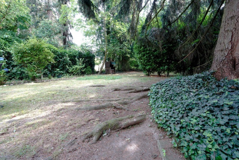 Garten Mehrfamilienhaus D�sseldorf