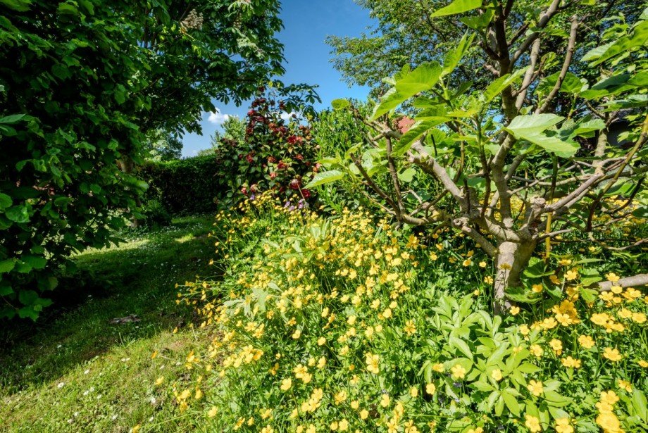 Garten Bauernhaus Titz