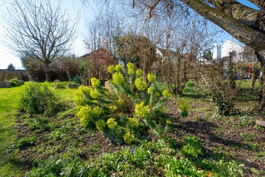 Garten Haus J�lich - Koslar