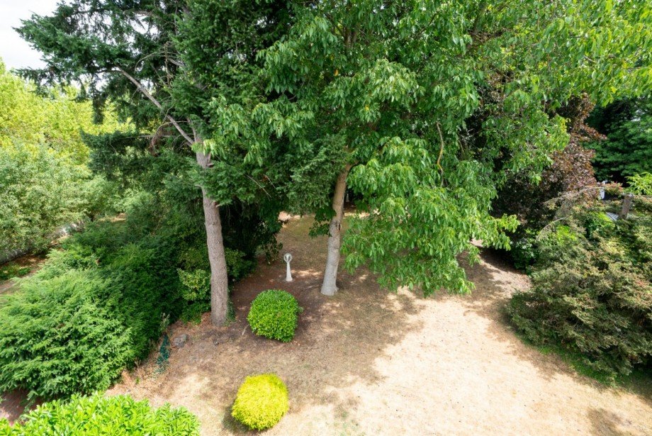 Blick Terrasse i.d. Garten Villa J�lich