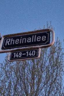20250327_193024 D-Oberkassel, Rheinallee Top 2-Zimmer-Wohnung mit Einbauk�che, Balkon mit Gr�nblick