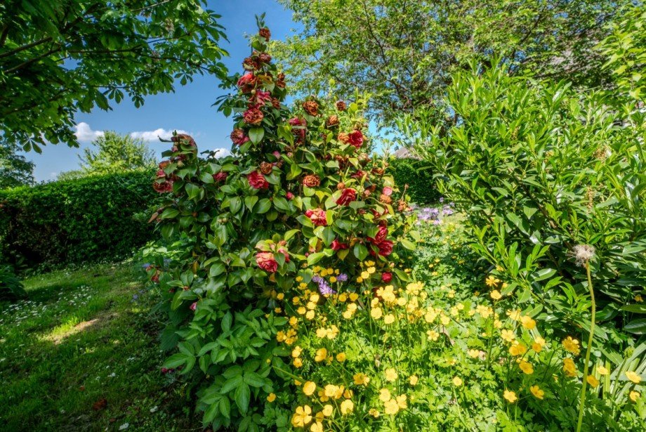 Garten Bauernhaus Titz