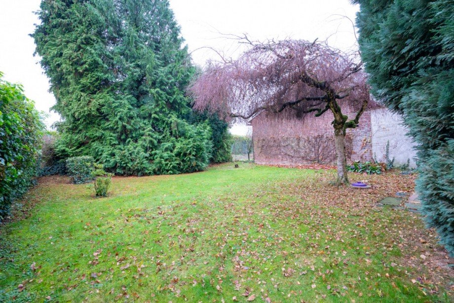 Garten Einfamilienhaus Titz