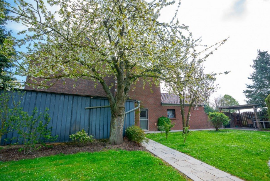 Garten Zweifamilienhaus Titz