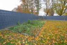Garten +++ VERKAUFT +++ Viel Platz f�r die Familie mit Traumgrundst�ck!