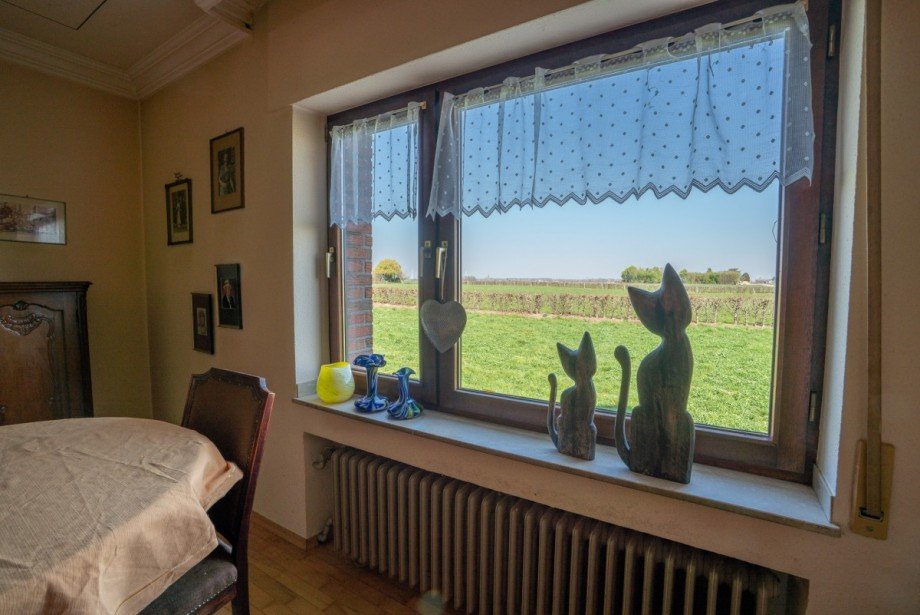 Ausblick Einfamilienhaus Titz-Spiel