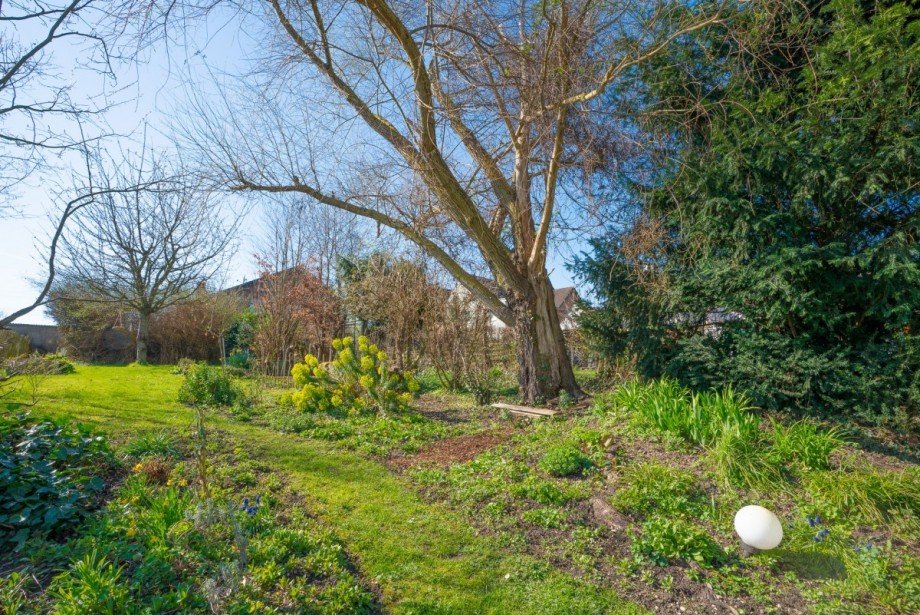 Garten Haus J�lich - Koslar
