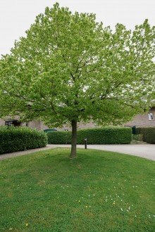 Hofanlage +++ VERKAUFT +++ DENK(mal) RARIT�T auf historischem Gutshof!