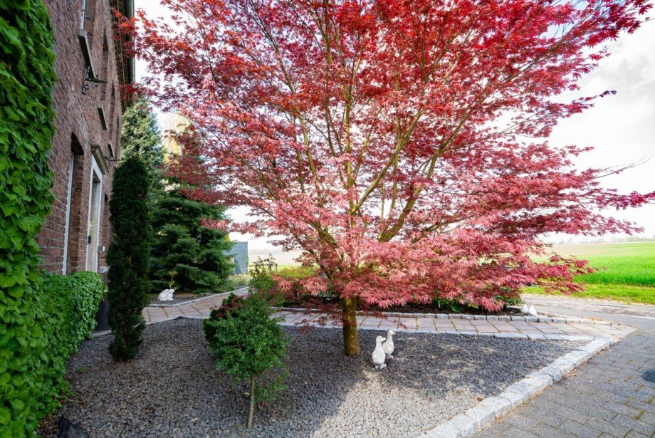 Garten Zweifamilienhaus Titz
