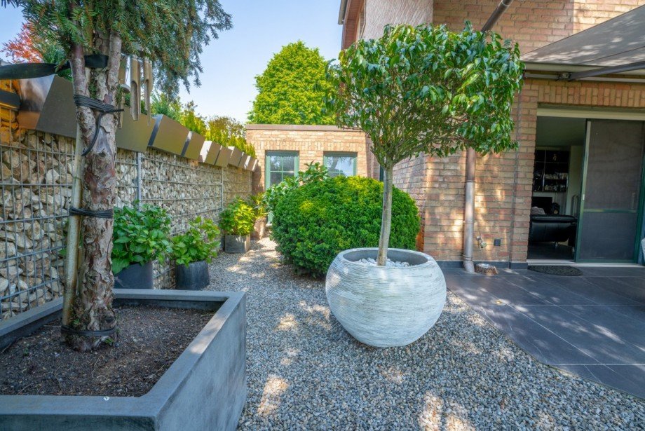 Terrasse Doppelhaush�lfte Titz-Opherten